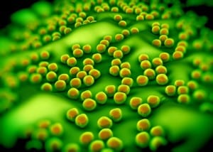 antibiotic resistance