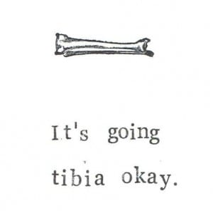 tibia ok