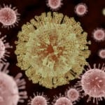 Medical News: Zika Virus