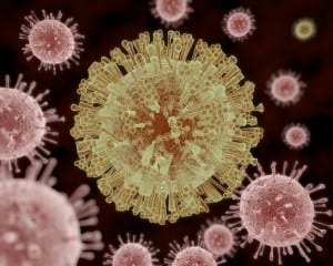 Medical News: Zika Virus