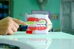 Dentistry Courses: what are they really like?