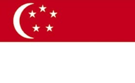 Singaporean flag