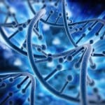 From the latest medical news articles: DNA mutations