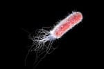 From the latest medical news articles: the rise of antibiotics resistance