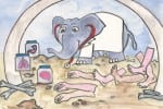 The Clinical Elephantucator