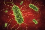 Deadly superbug has caused London IC unit to close