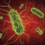 Deadly superbug has caused London IC unit to close