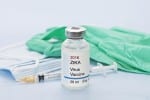 Zika virus vaccine in progress
