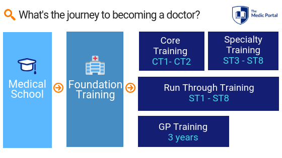 What Does A Doctor DO