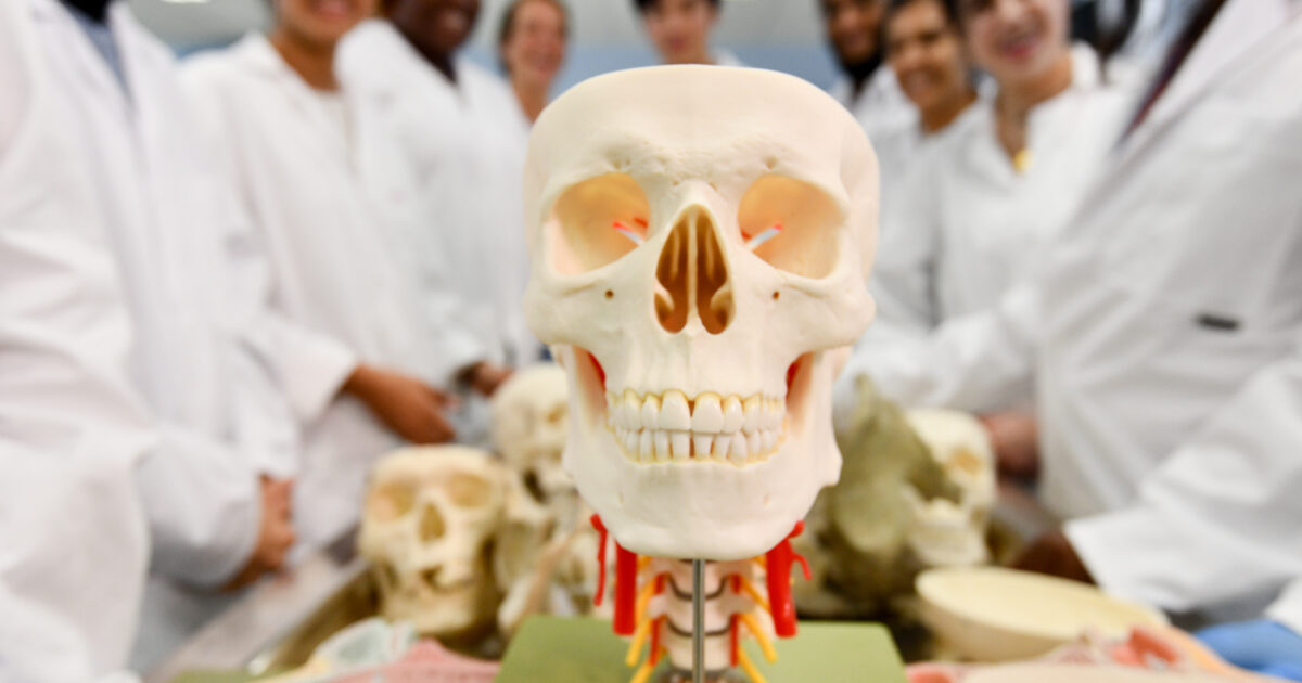 10 Reasons To Study Medicine In Malta The Medic Portal